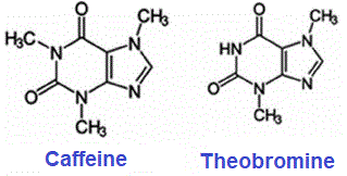 caffeine, theobromine