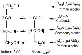  aldose, ketose