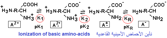basis amino-acid ionization