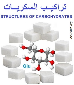 carbohydrates, glucides, sugars, السكريات