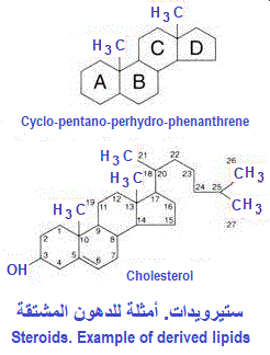 cholesterol molecule structure