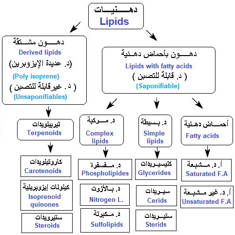 classification