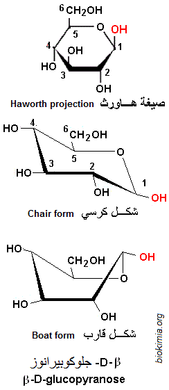 Glucose. Chair, boat