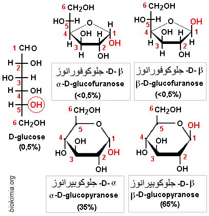 glucoses. Formes en solution