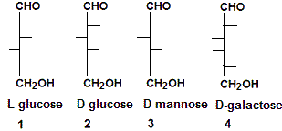 glucose, manose, galactose