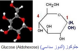 Glucose