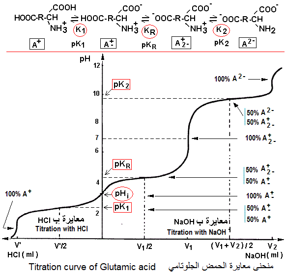 glutamic acid titration curve