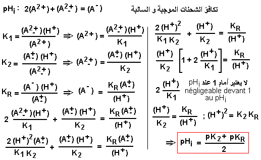 Lysine pHi calculation