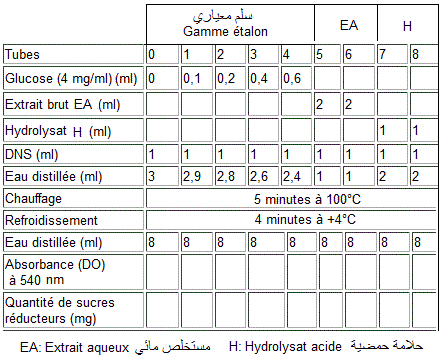carbohydrate quantification with DNS