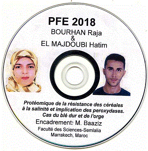 bourhan-elmajdoubi-pfe 2018