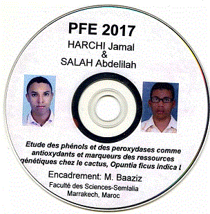 HARCH Jamal & SALAH Abdelilah 2017