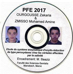 OURGOUSSE Zakaria & ZMISSO Mohamed Amine 2017