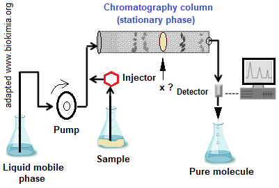 enzymes (الإنزيمات). Purification (تنقية)