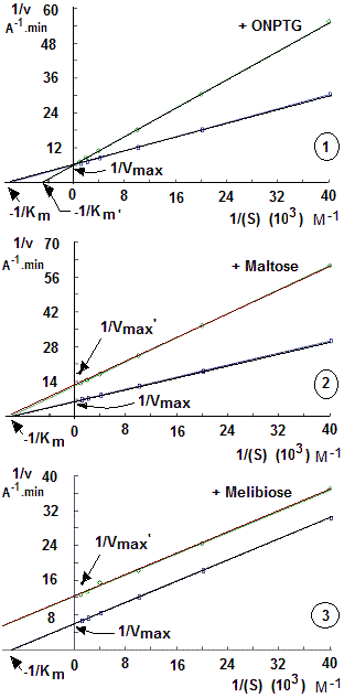 ONPTG, maltose, melibiose