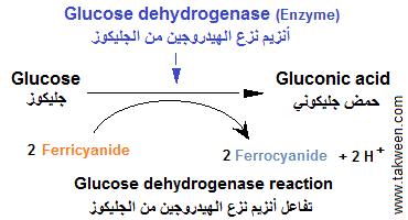 Glucose dehydrogenase