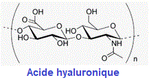 acide hyaluronique