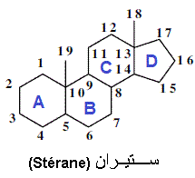 Stérane
